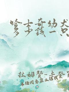 哈士奇幼犬价格多少钱一只