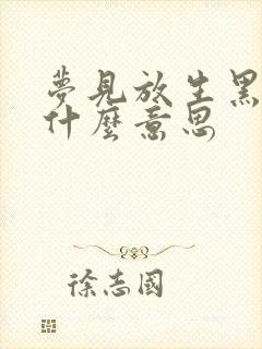 梦见放生黑鱼是什么意思