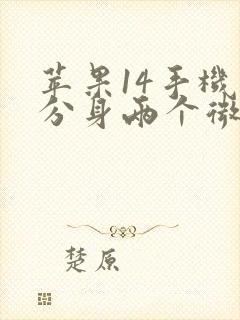 苹果14手机能分身两个微信吗