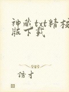神藏txt精校版下载
