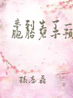 梦到生了一对双胞胎儿子预示什么