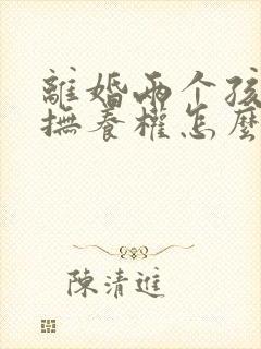 离婚两个孩子的抚养权怎么判