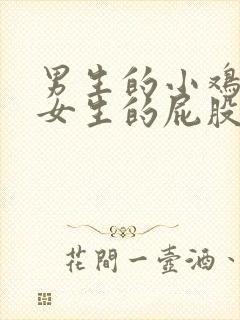 男生的小鸡插入女生的屁股里 软件