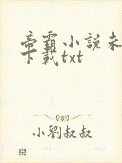 帝霸小说未删版下载txt