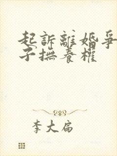 起诉离婚争夺孩子抚养权