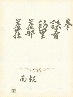 羞羞的铁拳可以在哪里看