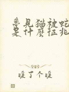 梦见猫被蛇咬了是什么征兆