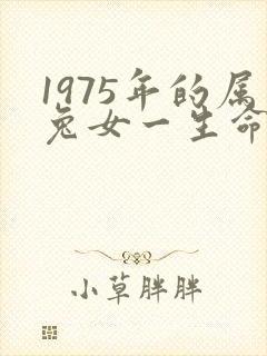1975年的属兔女一生命运怎么样