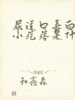 尿道口长白色的小疙瘩是什么