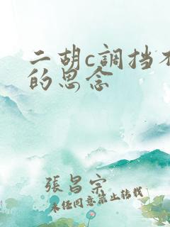 二胡c调挡不住的思念