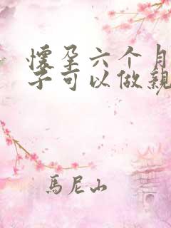 怀孕六个月的孩子可以做亲子鉴定吗