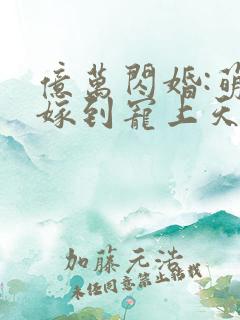 亿万闪婚:萌妻嫁到宠上天