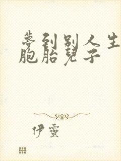 梦到别人生了双胞胎儿子