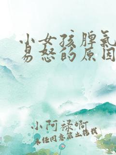 小女孩脾气暴躁易怒的原因