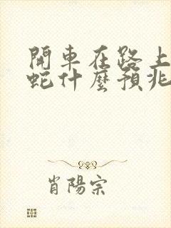 开车在路上遇到蛇什么预兆