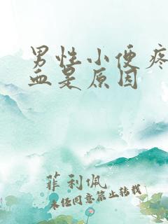 男性小便疼痛带血是原因