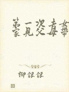 第一次去女朋友家见父母带什么礼物