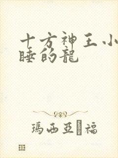 十方神王小说贪睡的龙