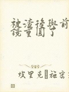 被渣后与前夫破镜重圆了