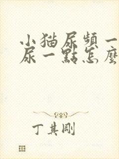 小猫尿频一次只尿一点怎么回事