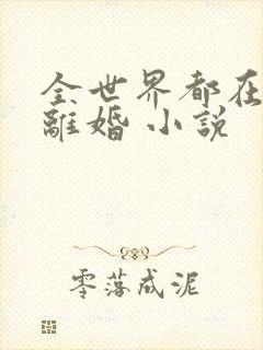 全世界都在等我离婚 小说