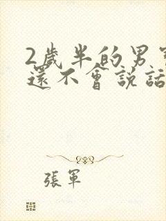 2岁半的男宝宝还不会说话正常吗