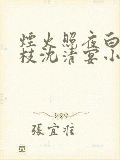 烟火照夜白温南枝沈清宴小说