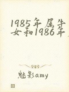 1985年属牛女和1986年属虎男婚配吗