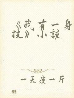 《我有一身被动技》小说