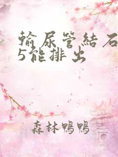 输尿管结石0.5能排出