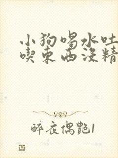 小狗喝水吐水不吃东西没精神
