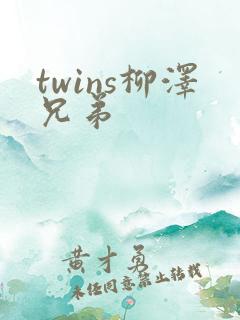 twins柳泽兄弟