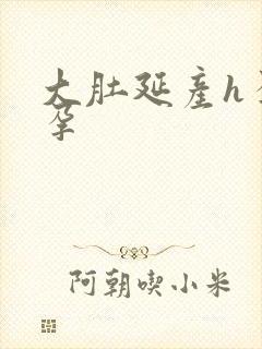 大肚延产h孕中孕