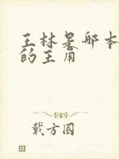 王林是哪本小说的主角