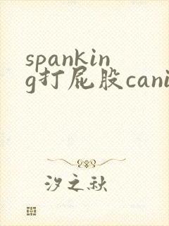spanking打屁股caningtube