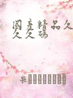 国产精品久久久久久码