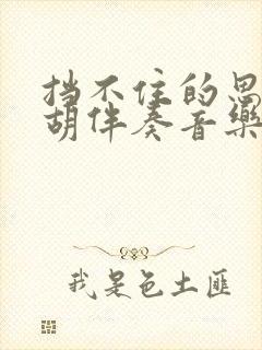 挡不住的思念二胡伴奏音乐