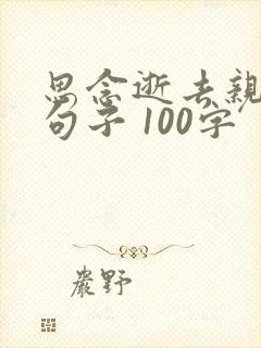 思念逝去亲人的句子 100字