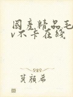 国产精品毛片av不卡在线