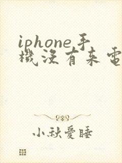 iphone手机没有来电声音怎么回事