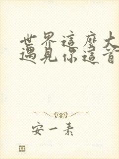 世界这么大还是遇见你这首歌曲