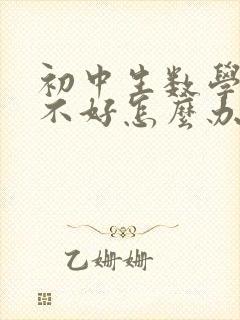 初中生数学几何不好怎么办