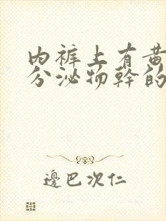 内裤上有黄黄的分泌物干的是怎么回事