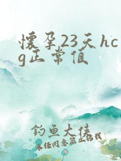 怀孕23天hcg正常值