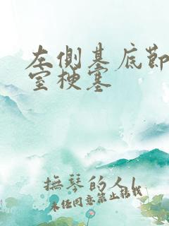 左侧基底节区脑室梗塞