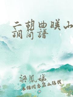 二胡曲映山红d调简谱