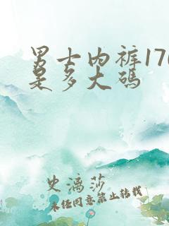 男士内裤170是多大码