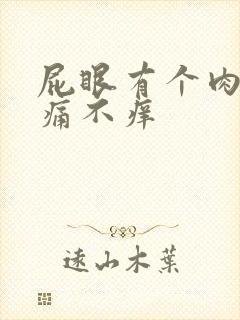 屁眼有个肉球不痛不痒