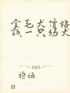 金毛犬价格多少钱一只幼犬