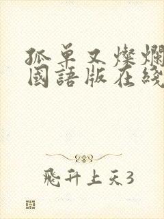 孤单又灿烂的神国语版在线观看